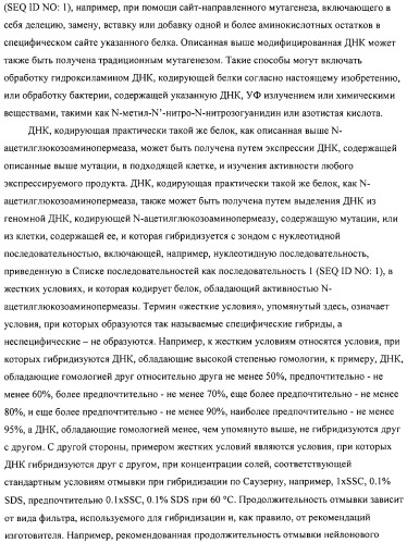 Способ получения l-аминокислот с использованием бактерии, принадлежащей к роду escherichia (патент 2312893)