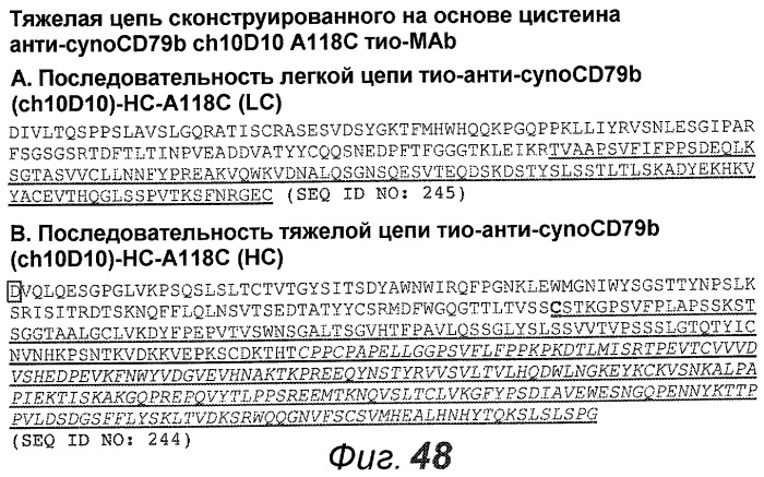 Анти-cd79b антитела и иммуноконъюгаты и способы их применения (патент 2511410)