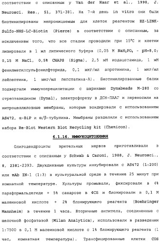 Поликлональное антитело против nogo, фармацевтическая композиция и применение антитела для изготовления лекарственного средства (патент 2432364)