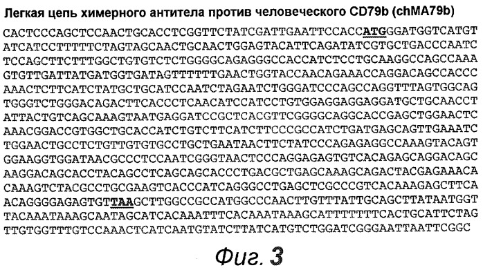 Анти-cd79b антитела и иммуноконъюгаты и способы их применения (патент 2511410)