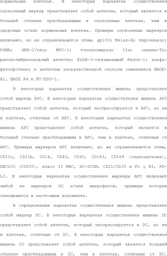 Нацеливание на антигенпрезентирующие клетки иммунонанотерапевтических средств (патент 2497542)