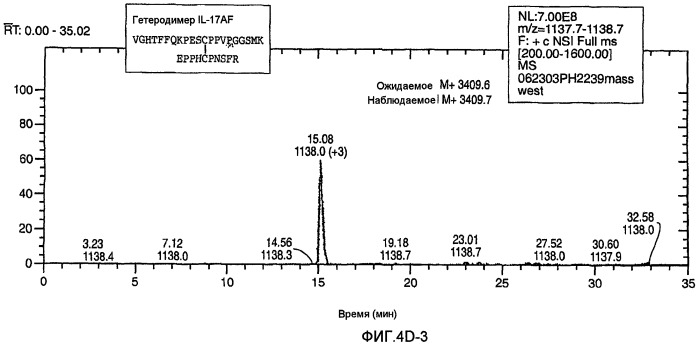 Гетеродимерные полипептиды il-17 a/f и возможности их лечебного применения (патент 2440134)