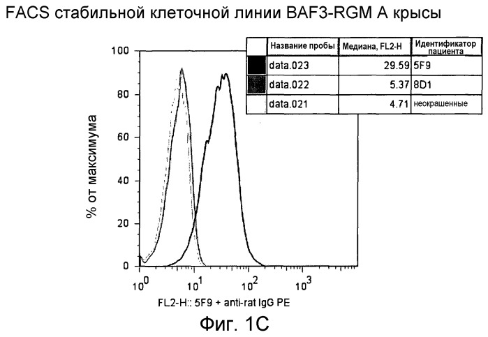 Моноклональные антитела против белка rgm а и их применение (патент 2524136)