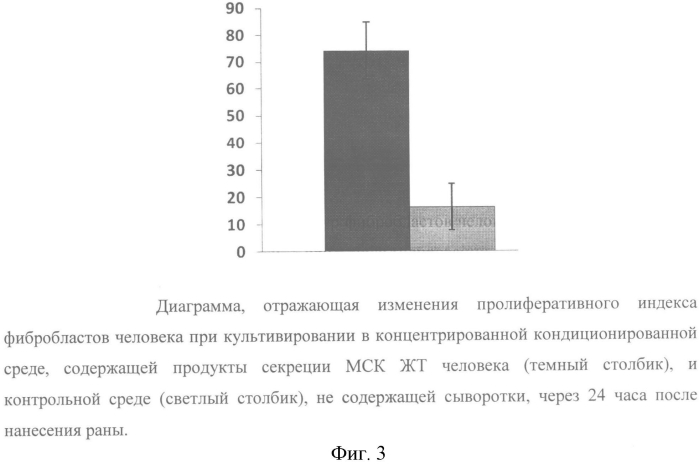 Средство для лечения ожогов и ран на основе цитокинов и факторов роста, секретируемых мезенхимными клетками человека, способ получения средства и способ лечения ожогов и ран (патент 2574017)