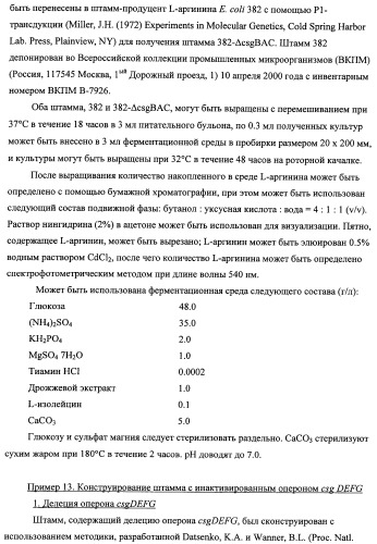 Способ получения l-треонина с использованием бактерии, принадлежащей к роду escherichia, модифицированной таким образом, что в ней нарушена способность к образованию ворсинок типа &quot;керли&quot; (патент 2338782)