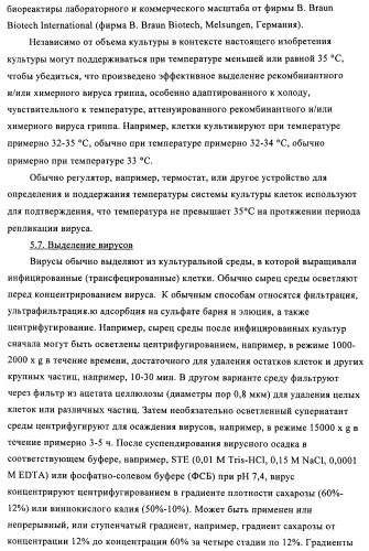Способы и композиции для экспрессии антисмысловой вирусной рнк в клетках собаки (патент 2457250)