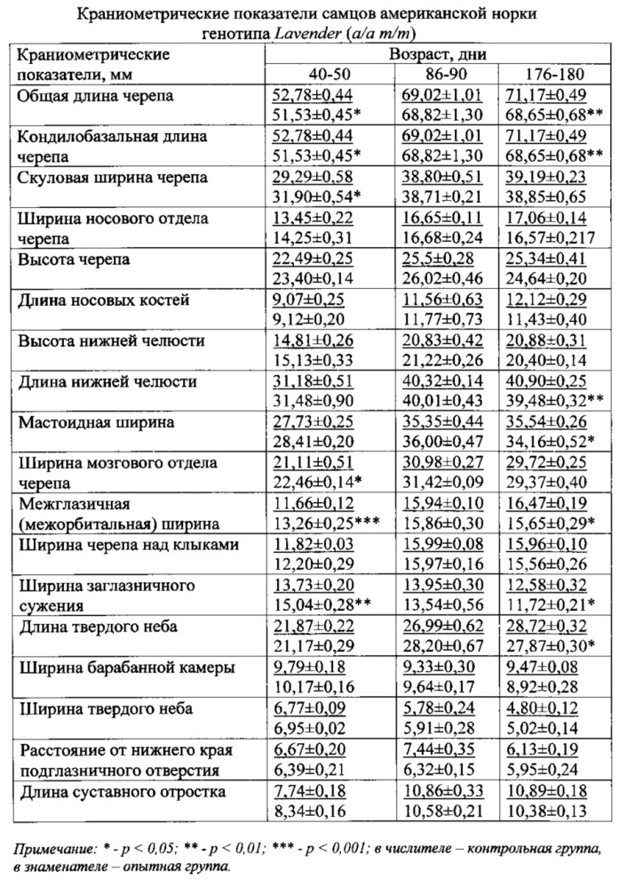 Способ улучшения морфогенеза черепа самцов и самок американской норки окрасочного генотипа standart (+/+ +/+) (патент 2637359)