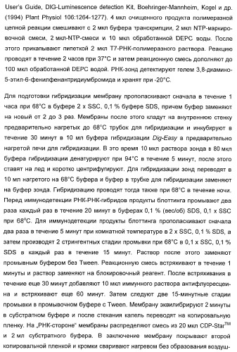 Способ повышения стойкости к стрессовым факторам в растениях (патент 2375452)