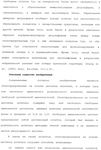 Антитела, сконструированные на основе цистеинов, и их конъюгаты (патент 2412947)