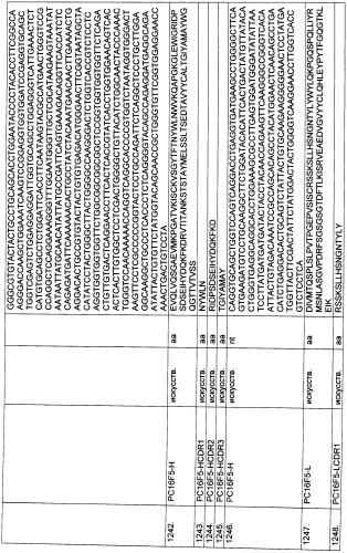 Pscaxcd3, cd19xcd3, c-metxcd3, эндосиалинxcd3, epcamxcd3, igf-1rxcd3 или fap-альфаxcd3 биспецифическое одноцепочечное антитело с межвидовой специфичностью (патент 2547600)