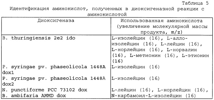 Способ получения гидроксилированного l-лейцина и бактерия, трансформированная днк, кодирующей диоксигеназу (патент 2468085)