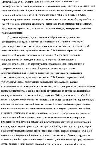 Антигенсвязывающие молекулы, которые связывают egfr, кодирующие их векторы и их применение (патент 2488597)