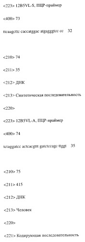 Модифицированное агонистическое антитело (патент 2295537)