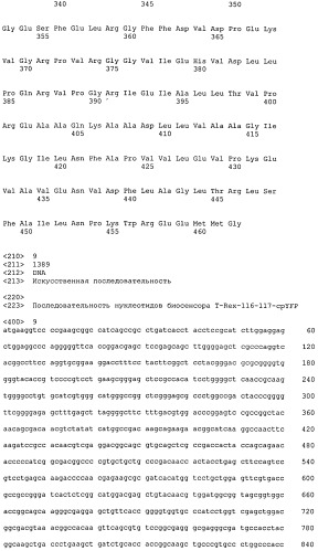 Выделенная нуклеиновая кислота, кодирующая флуоресцентный биосенсор, кассета экспрессии, клетка продуцирующая флуоресцентный биосенсор, выделенный флуоресцентный биосенсор (патент 2515903)
