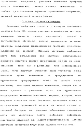 Гены corynebacterium glutamicum, кодирующие белки метаболических путей (патент 2306339)