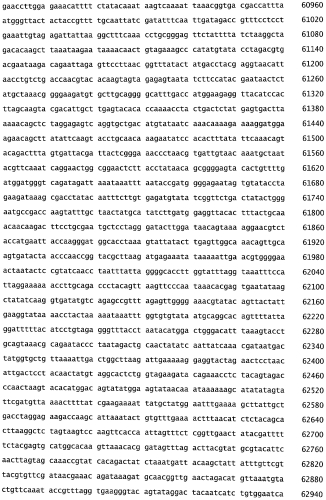 Бактериофаг, обладающий активностью против pseudomonas aeruginosa, белки бактериофага и способы их применения (патент 2580248)
