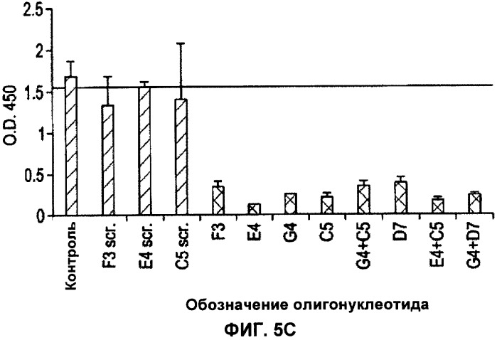 Лечение пролиферативных заболеваний с использованием антисмыслового олигомера iap и химиотерапевтического препарата (патент 2376018)