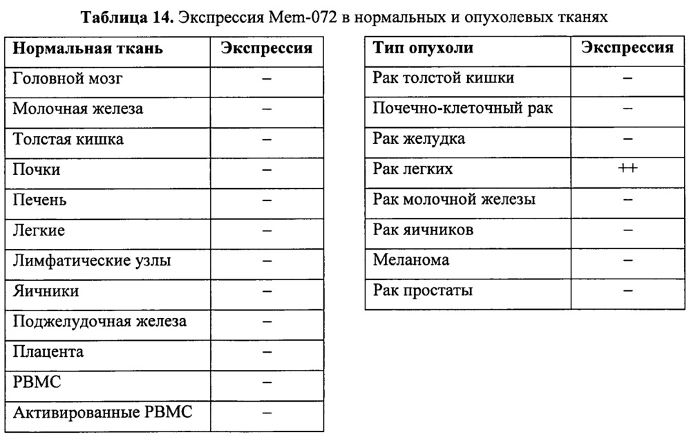 Идентификация опухолеассоциированных антигенов для диагностики и терапии (патент 2644686)