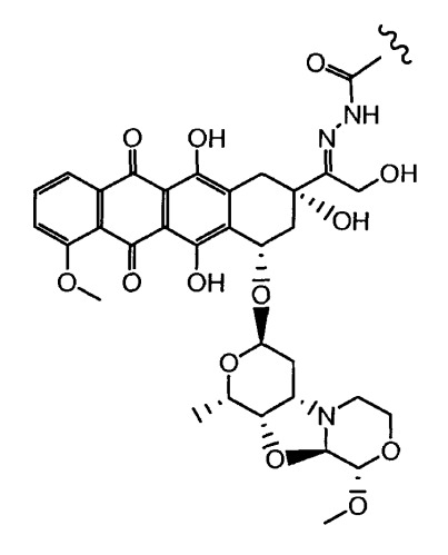 Конъюгаты производного антрациклина, способы их получения и их применение в качестве противоопухолевых соединений (патент 2523419)
