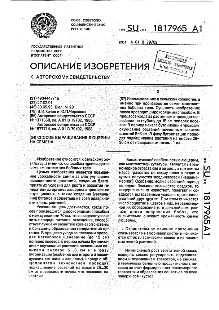 Способ выращивания люцерны на семена (патент 1817965)