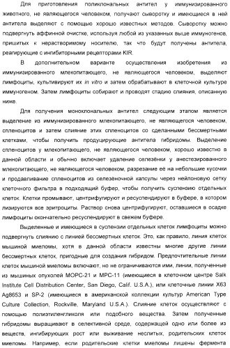 Антитела, связывающиеся с рецепторами kir2dl1,-2,-3 и не связывающиеся с рецептором kir2ds4, и их терапевтическое применение (патент 2410396)