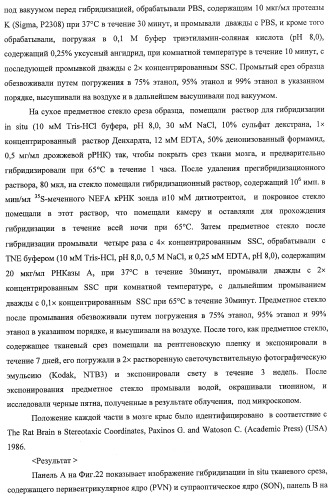 Способ получения фактора, связанного с контролем над потреблением пищи и/или массой тела, полипептид, обладающий активностью подавления потребления пищи и/или прибавления в весе, молекула нуклеиновой кислоты, кодирующая полипептид, способы и применение полипептида (патент 2418002)