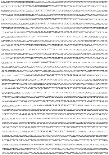 Применение s1p (патент 2362565)