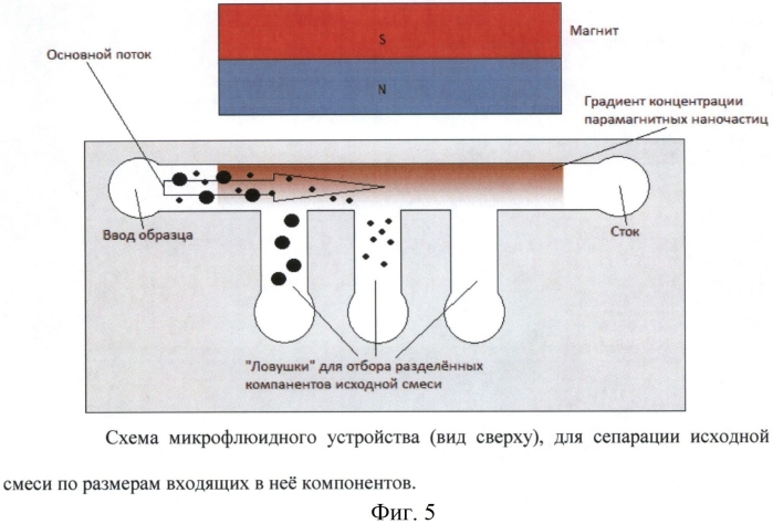 Способ манипулирования и сортировки объектов различной природы, микронного и субмикронного масштаба в микрофлюидных системах при помощи градиентов концентрации парамагнитных наночастиц (патент 2583928)