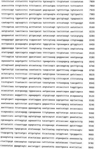 Бактериофаг, обладающий активностью против pseudomonas aeruginosa, белки бактериофага и способы их применения (патент 2580248)