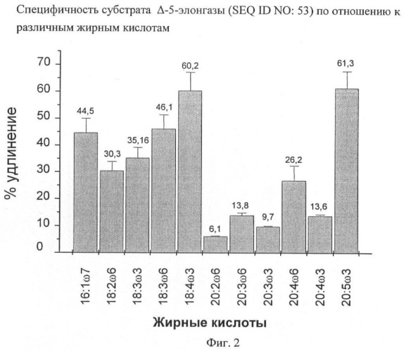 Способ получения полиненасыщенных кислот жирного ряда в трансгенных организмах (патент 2447147)