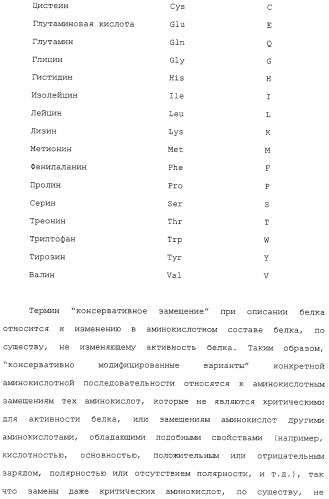 Scfv против egfrviii с улучшенной цитотоксичностью и выходом, иммунотоксины на их основе и способы их применения (патент 2317999)