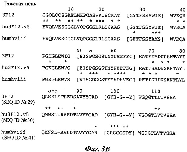 Антитела к лимфотоксину-альфа (патент 2486201)
