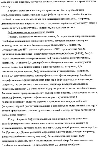 Композиции и лекарственные формы на основе гастрина, методы применения и получения (патент 2350351)