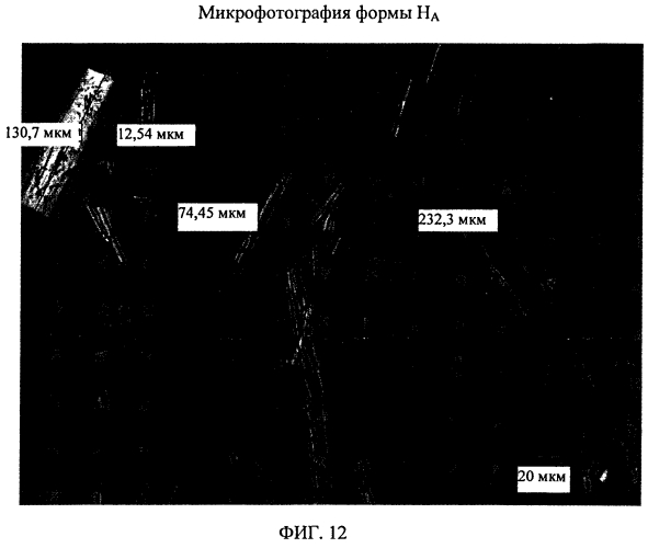 Твердые пероральные составы и кристаллические формы ингибитора белка апоптоза (патент 2574405)