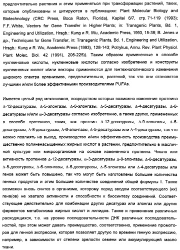 Способ получения полиненасыщенных кислот жирного ряда в трансгенных организмах (патент 2447147)