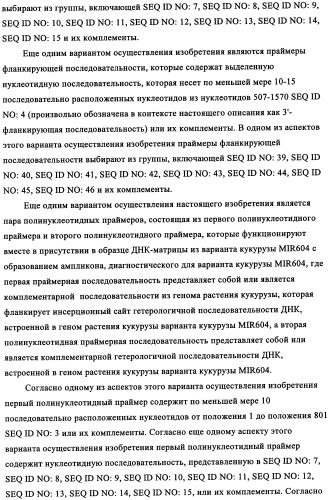 Вариант кукурузы mir604 (патент 2351122)