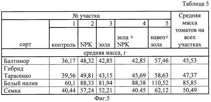 Способ использования отходов маслоэкстракционного производства как удобрения для выращивания томатов на черноземе (патент 2498968)