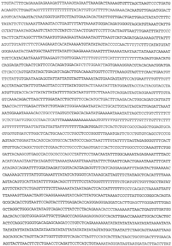 Применение s1p (патент 2362565)