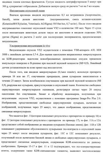 Конъюгаты фосфолипидов и направляющих векторных молекул (патент 2433137)