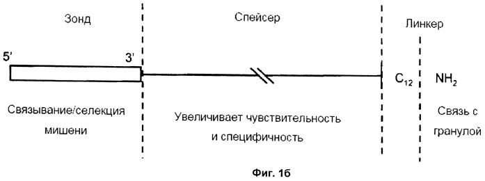 Зонд и набор (варианты) для детекции целевой нуклеиновой кислоты, спейсер, подходящий для присоединения к специфической к мишени последовательности зонда и способ детекции любого взаимодействия между зондом и целевой нуклеиновой кислотой (патент 2461626)