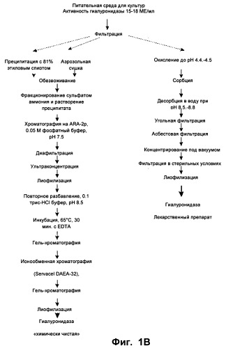 Гиалуронидаза и способ ее применения (патент 2471867)