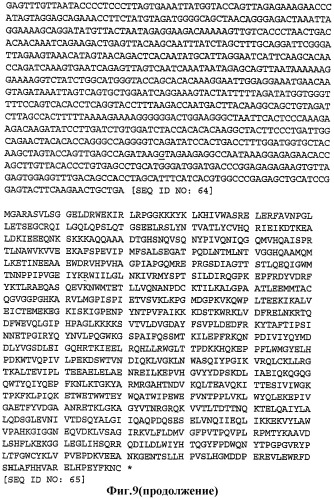 Последовательность нуклеиновой кислоты, кодирующая белок gag вич-1, способ получения указанной последовательности, вектор, содержащий ее, белок, кодируемый ею, фармацевтическая композиция и их применение для профилактики и/или лечения вич-инфекции и спида (патент 2312896)