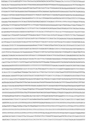 Применение s1p (патент 2362565)