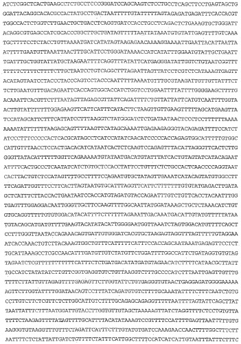 Применение s1p (патент 2362565)