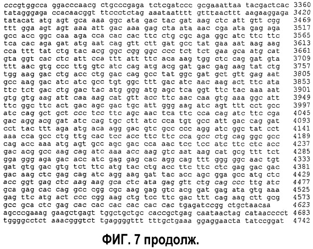 Популяция стволовых кроветворных клеток и ее применение (патент 2331669)