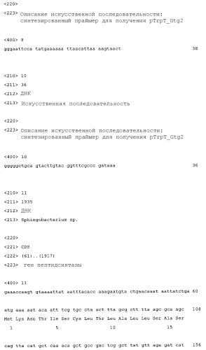 Новый ген пептидобразующего фермента (патент 2296798)