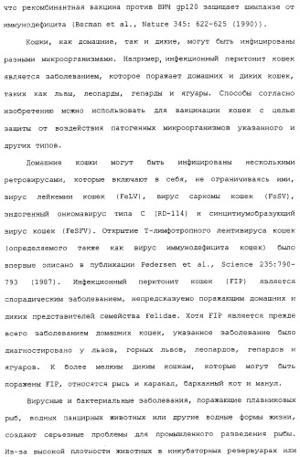 Композиции, содержащие cpg-олигонуклеотиды и вирусоподобные частицы, для применения в качестве адъювантов (патент 2322257)