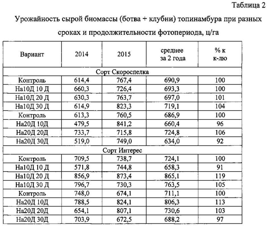 Способ увеличения продуктивности топинамбура (патент 2619306)