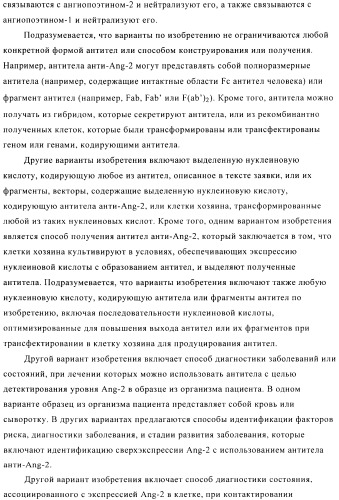 Стабилизированные антитела против ангиопоэтина-2 и их применение (патент 2509085)