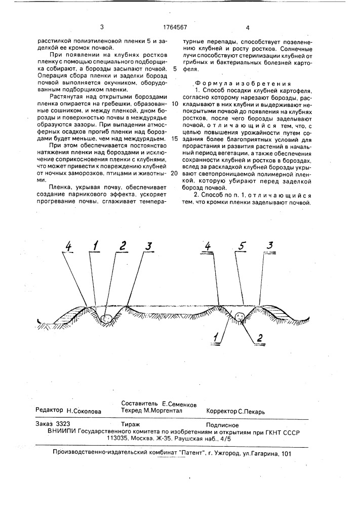 Способ посадки клубней картофеля (патент 1764567)